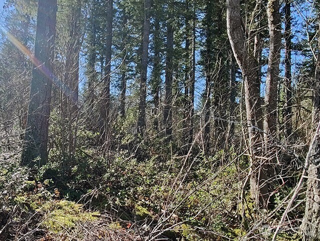 MLS #NWM2478963 image #1