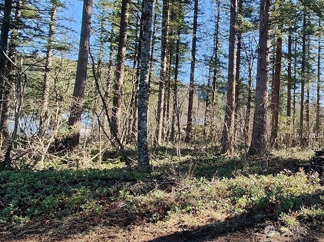 MLS #NWM2478963 image #12