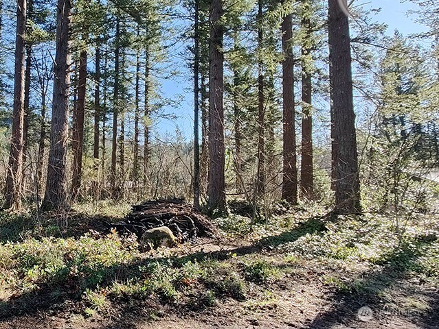MLS #NWM2478963 image #13