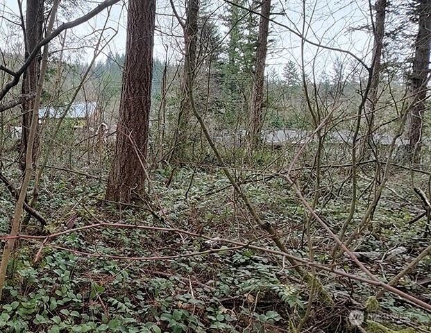 MLS #NWM2478963 image #14