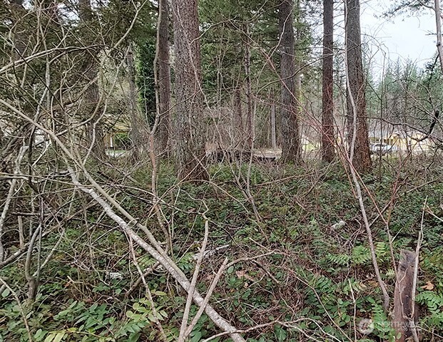 MLS #NWM2478963 image #17