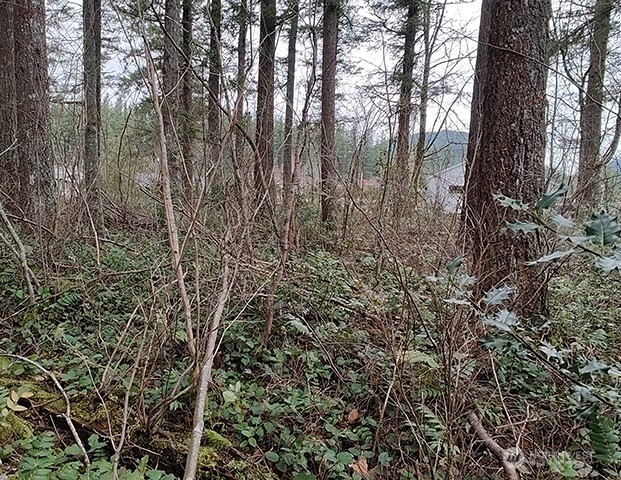 MLS #NWM2478963 image #18