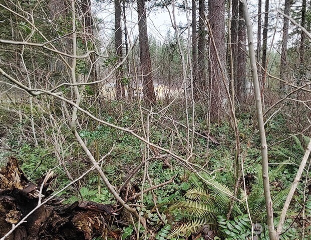 MLS #NWM2478963 image #19