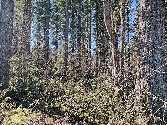 MLS #NWM2478963 image #2