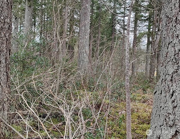 MLS #NWM2478963 image #20