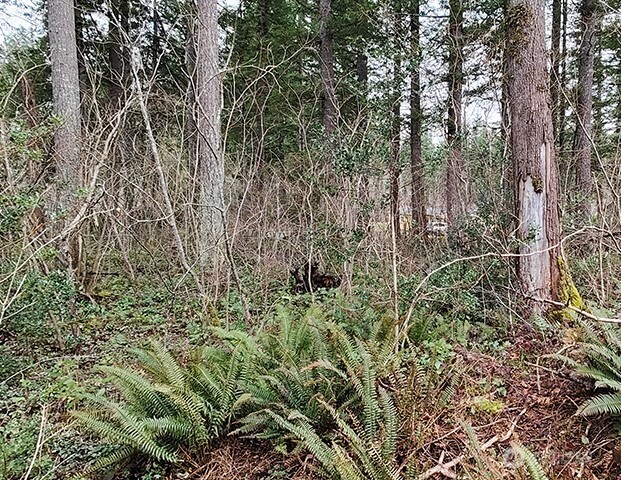 MLS #NWM2478963 image #21