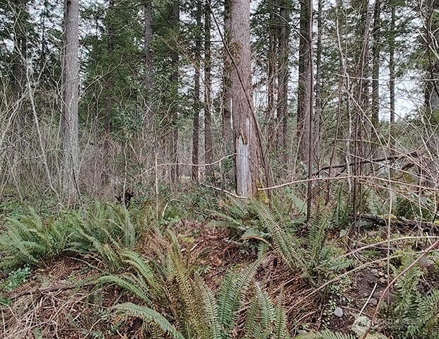 MLS #NWM2478963 image #22
