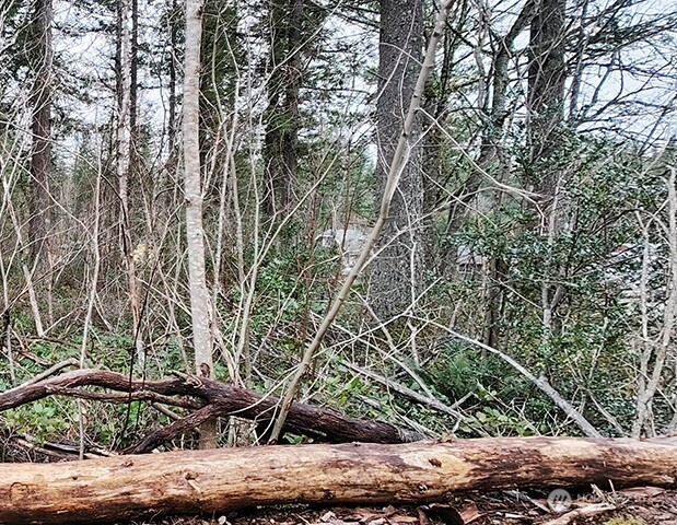 MLS #NWM2478963 image #23