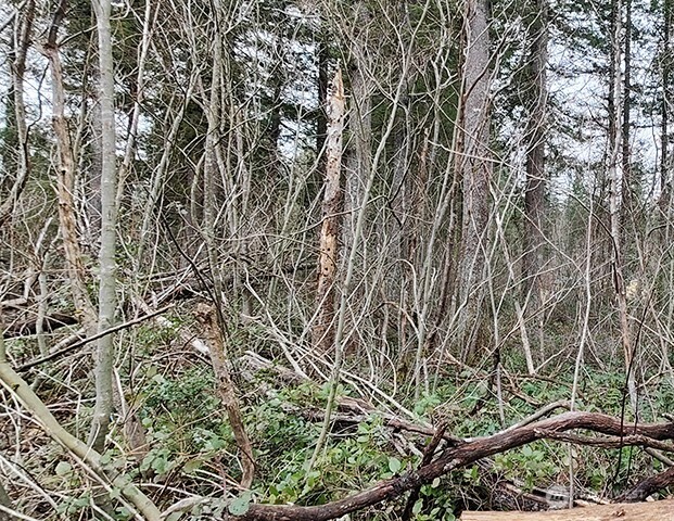 MLS #NWM2478963 image #25