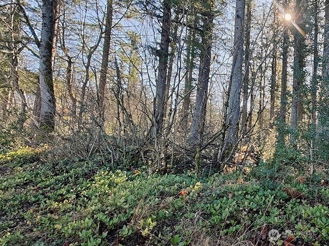 MLS #NWM2478963 image #3