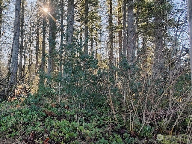 MLS #NWM2478963 image #4