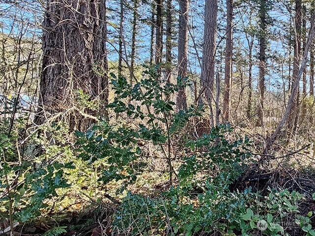 MLS #NWM2478963 image #5