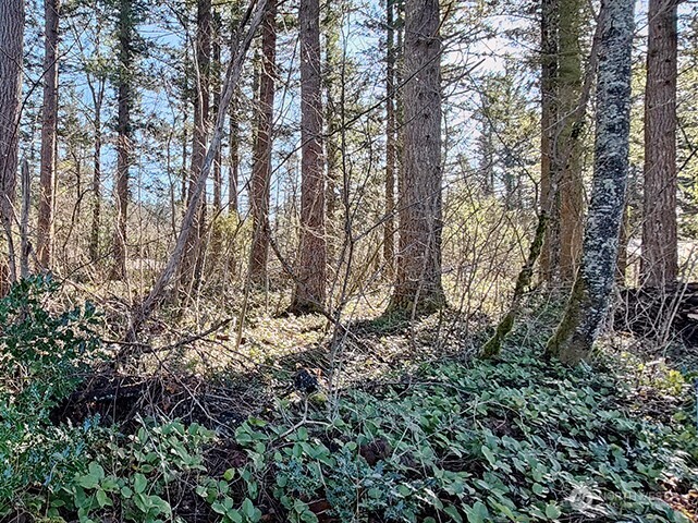 MLS #NWM2478963 image #6