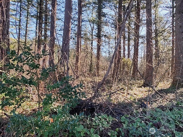 MLS #NWM2478963 image #7