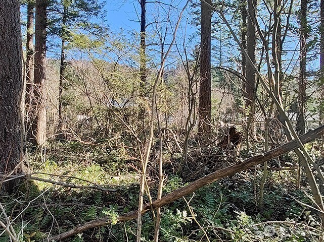 MLS #NWM2478963 image #9