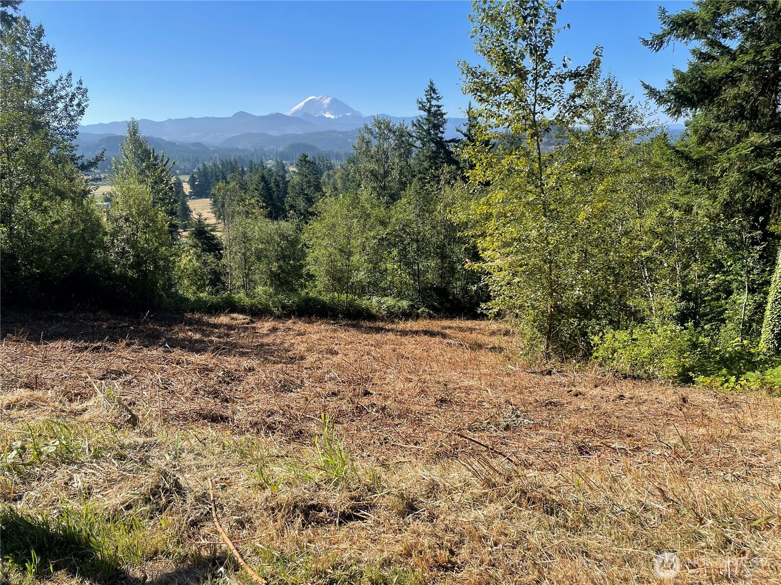 MLS #NWM2482945 image #1