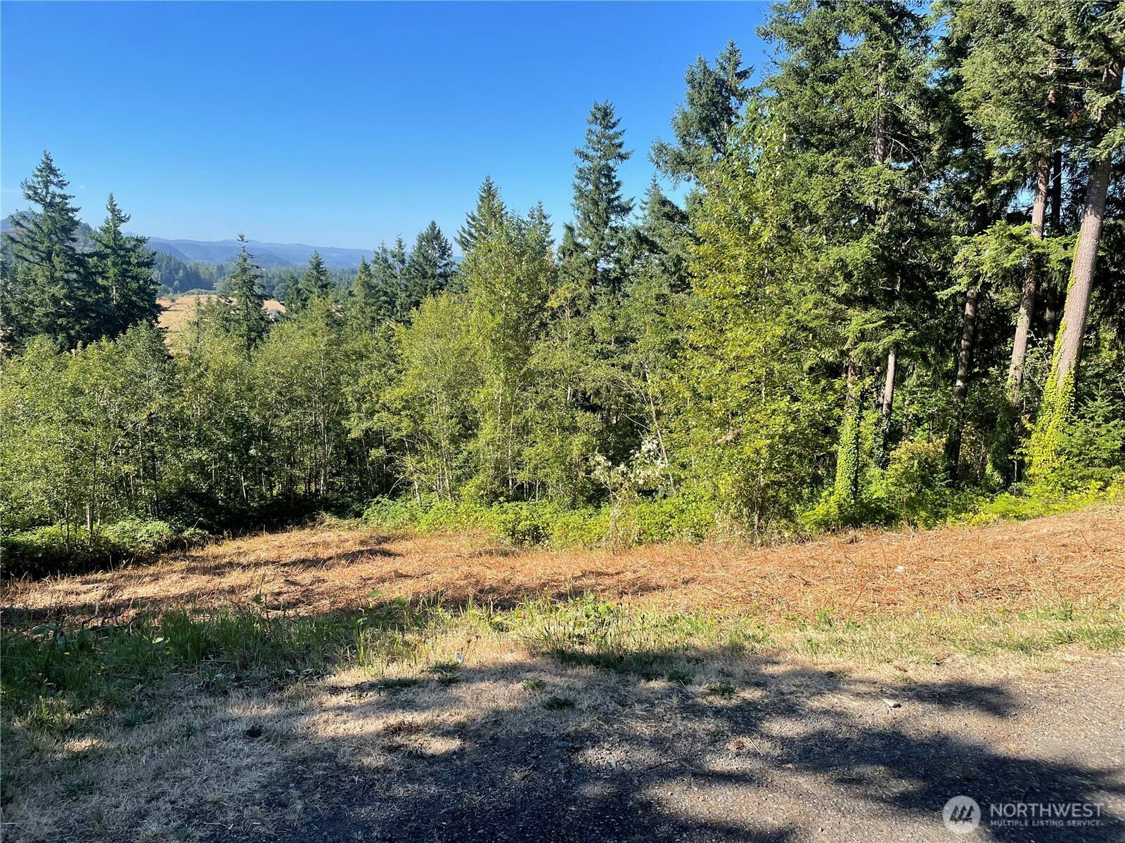 MLS #NWM2482945 image #2
