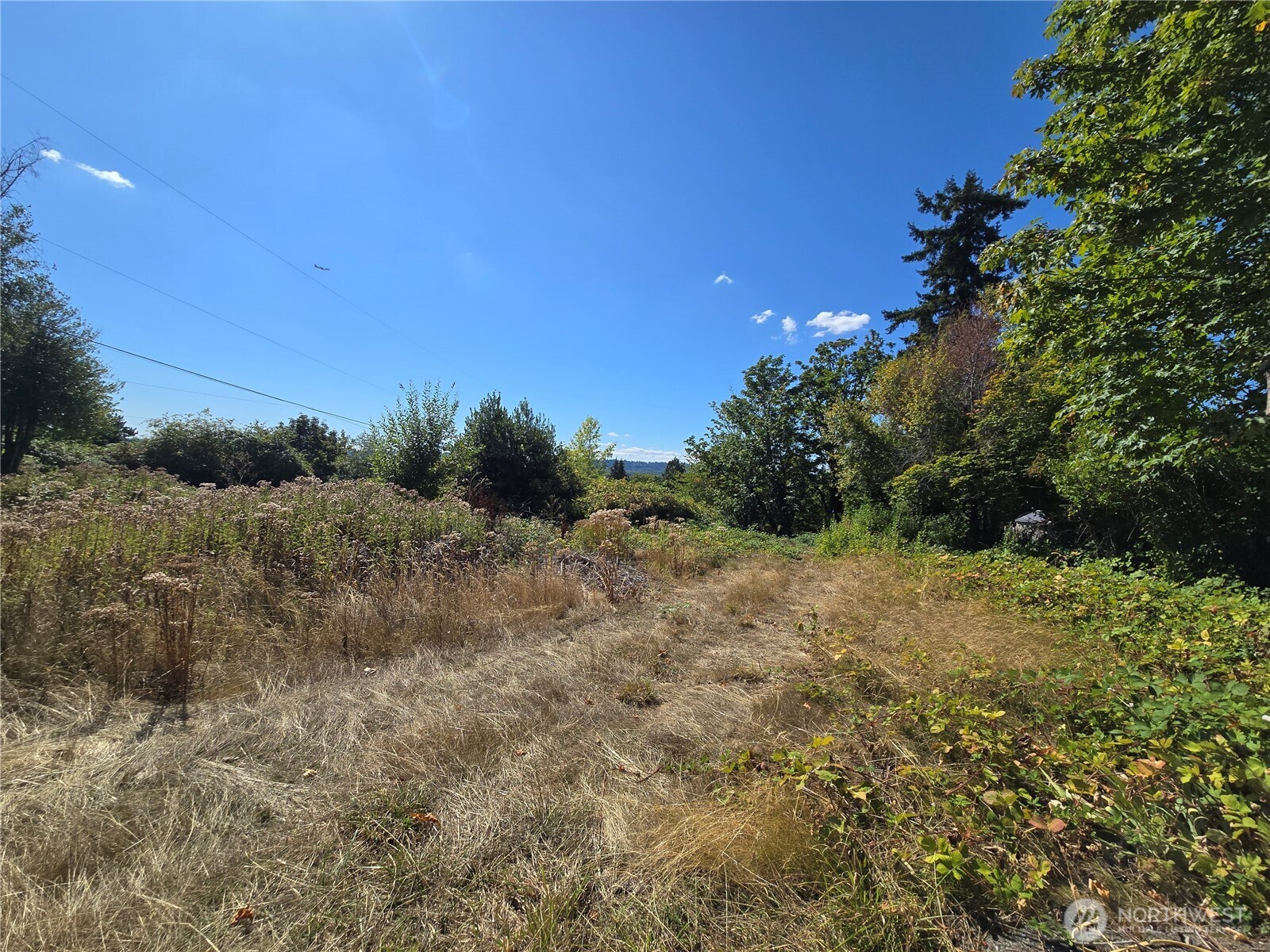 MLS #NWM2493015 image #17