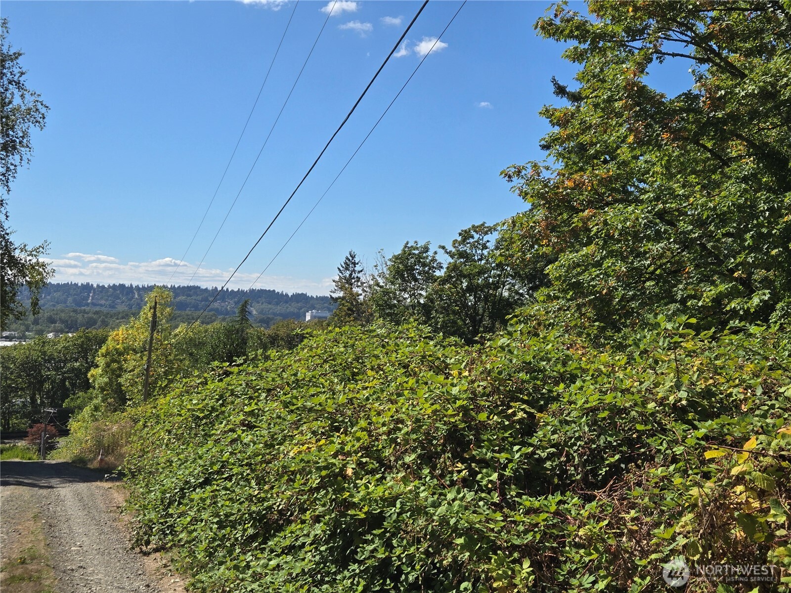 MLS #NWM2493015 image #22