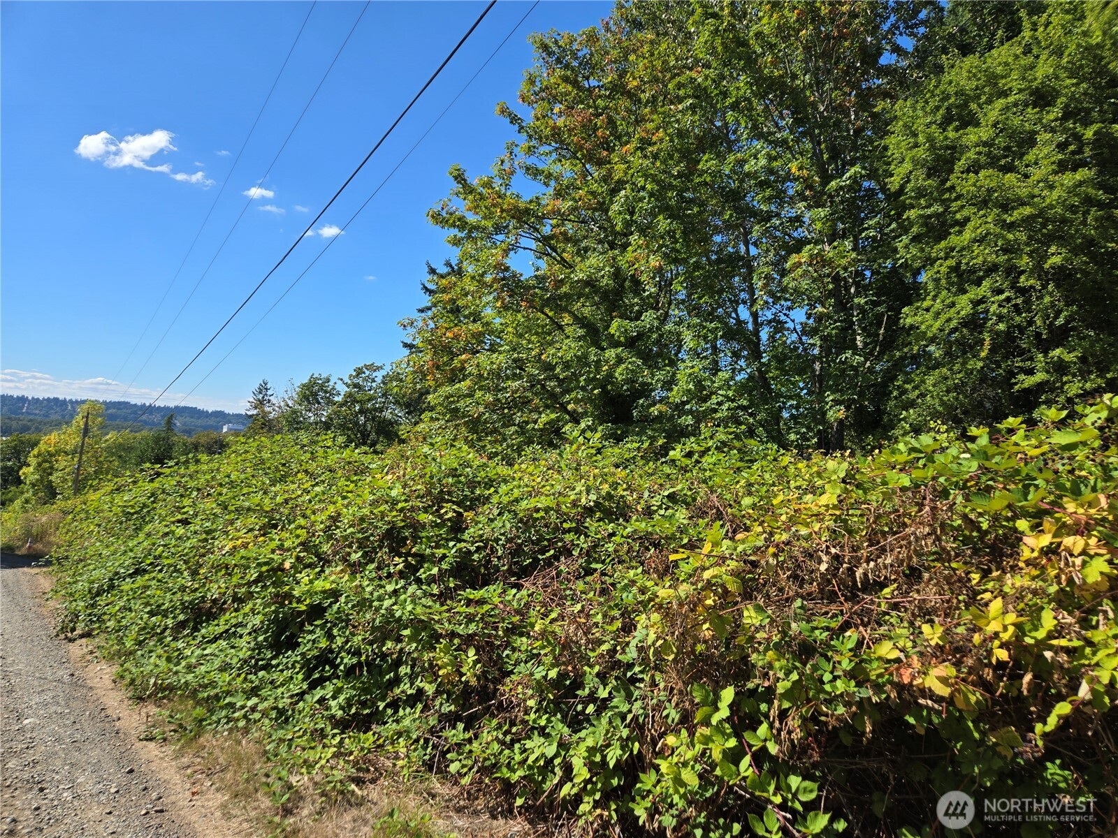 MLS #NWM2493015 image #23
