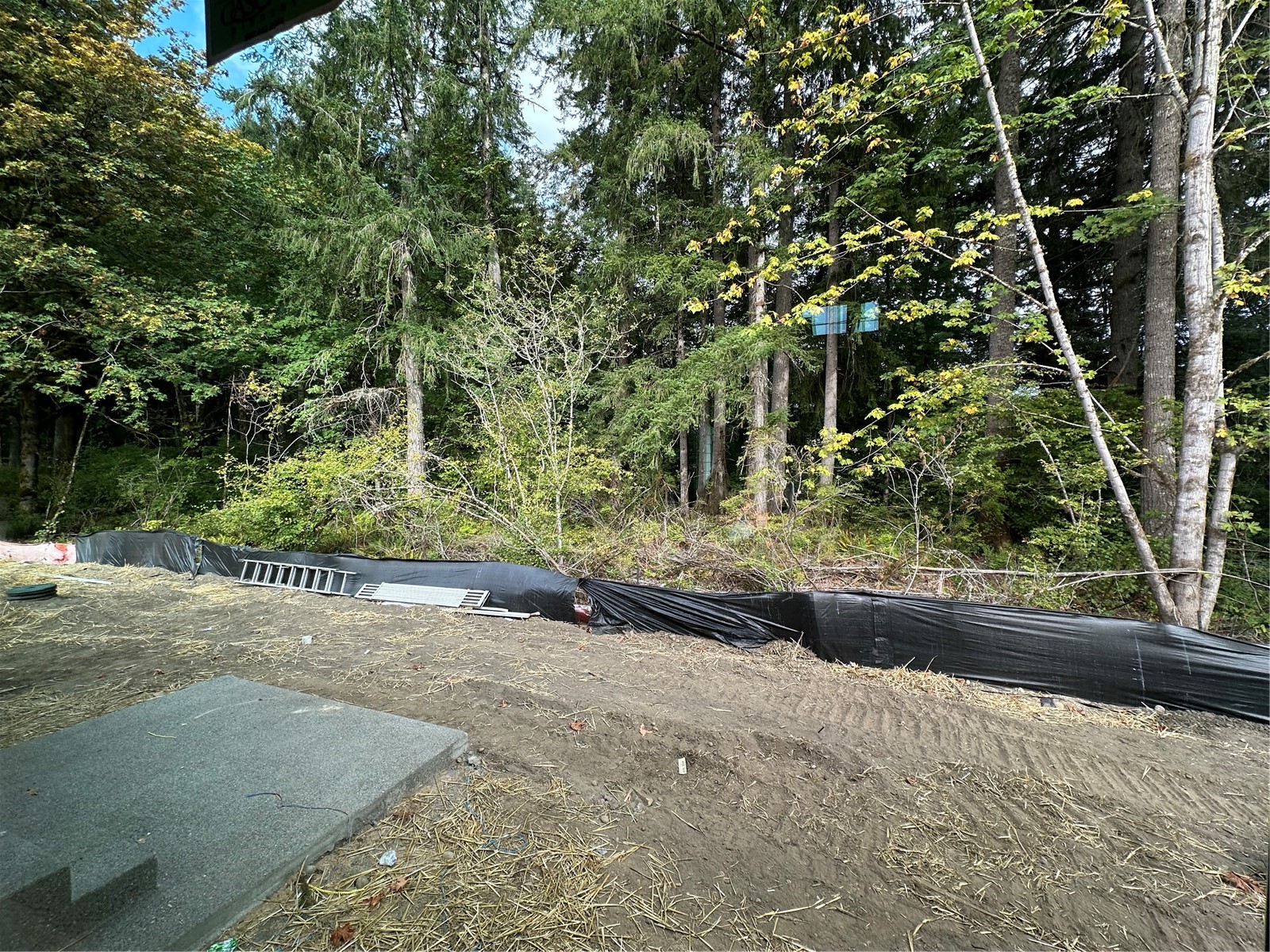 MLS #NWM2499214 image #5