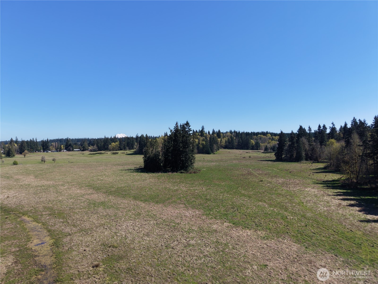 MLS #NWM2500197 image #10