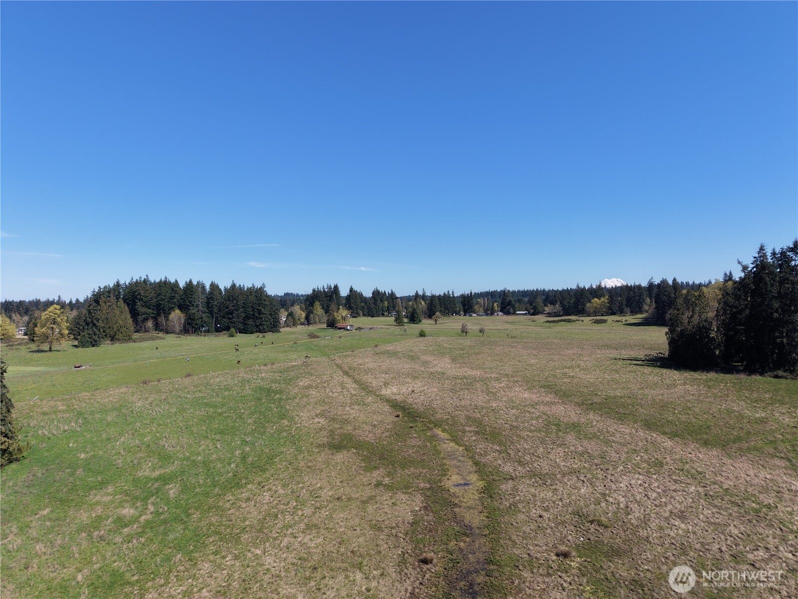 MLS #NWM2500197 image #11