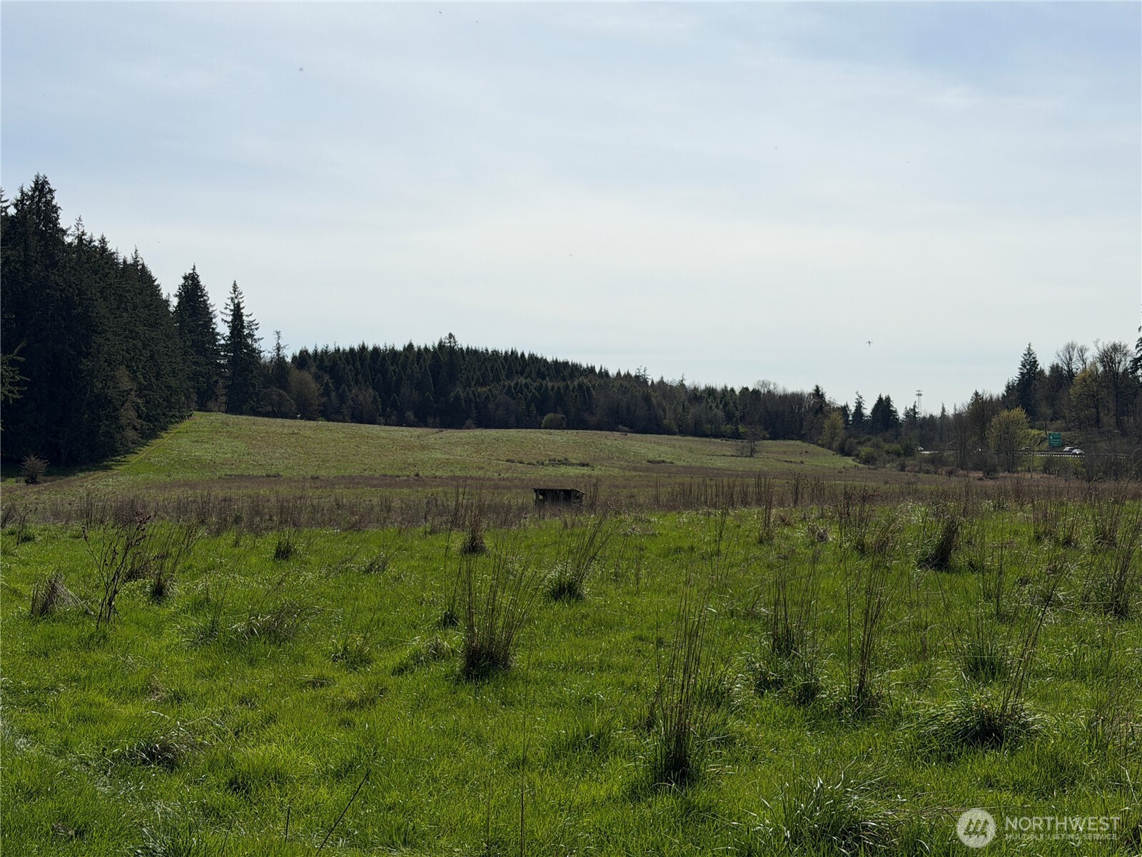MLS #NWM2500197 image #19