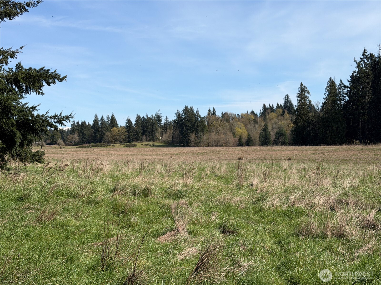 MLS #NWM2500197 image #20