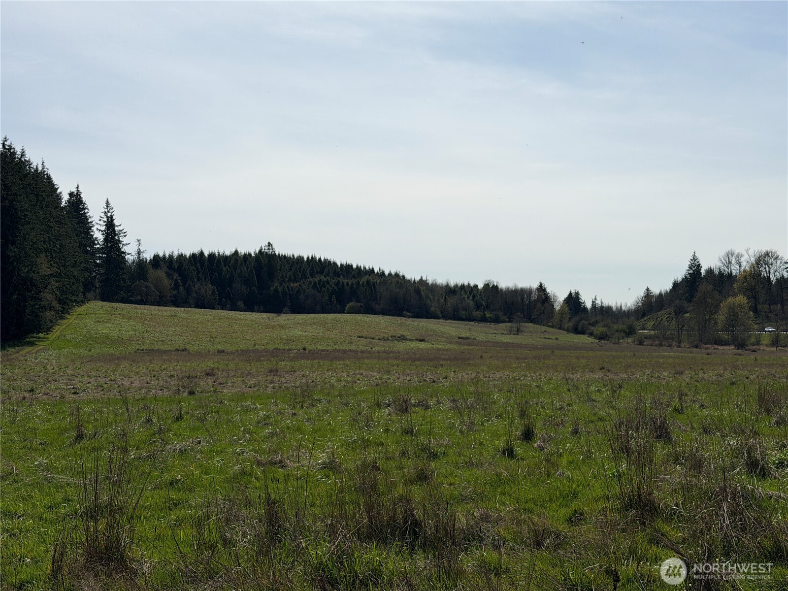 MLS #NWM2500197 image #22
