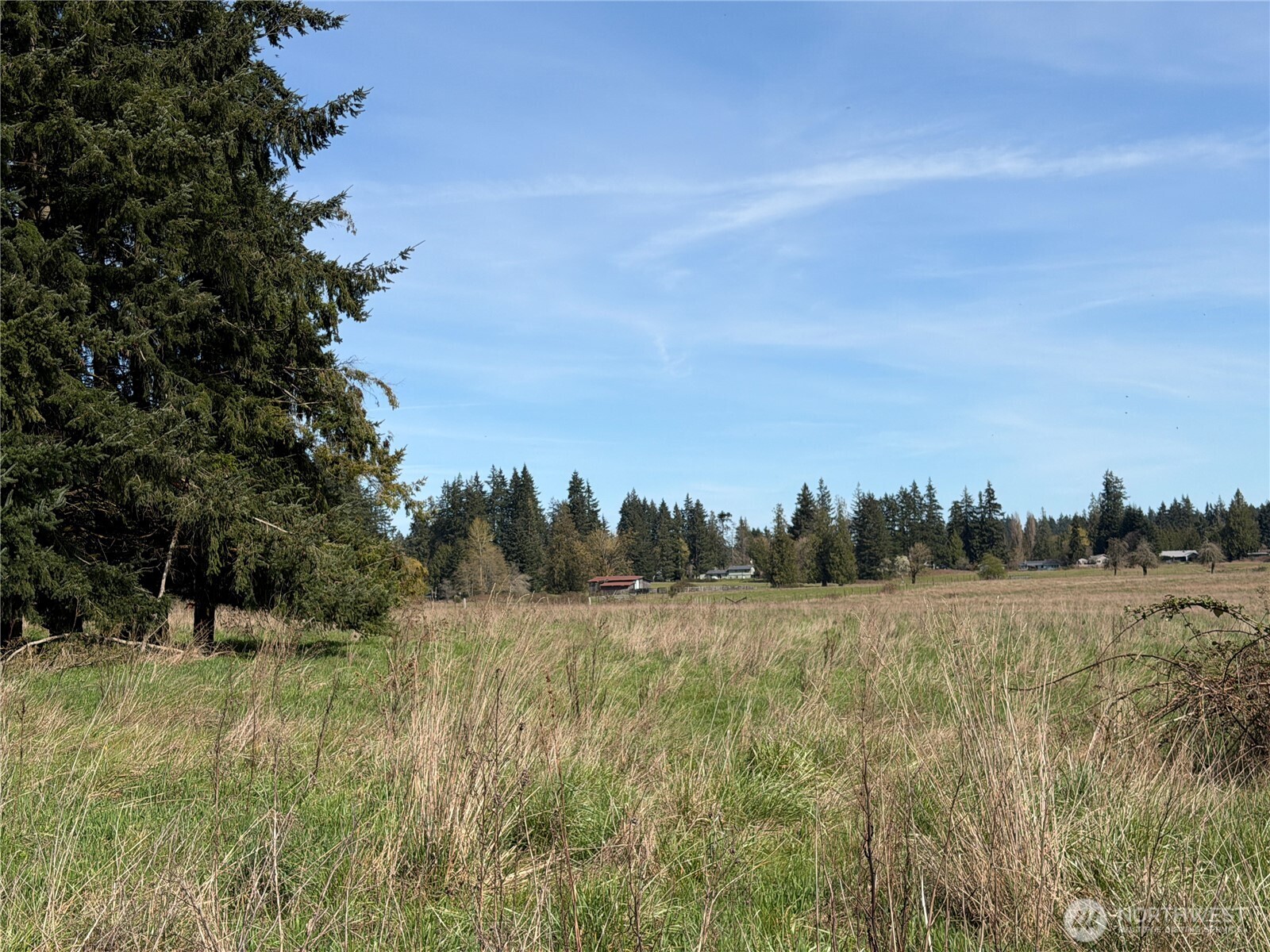 MLS #NWM2500197 image #23