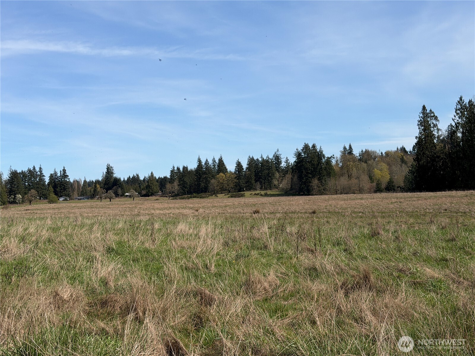 MLS #NWM2500197 image #25