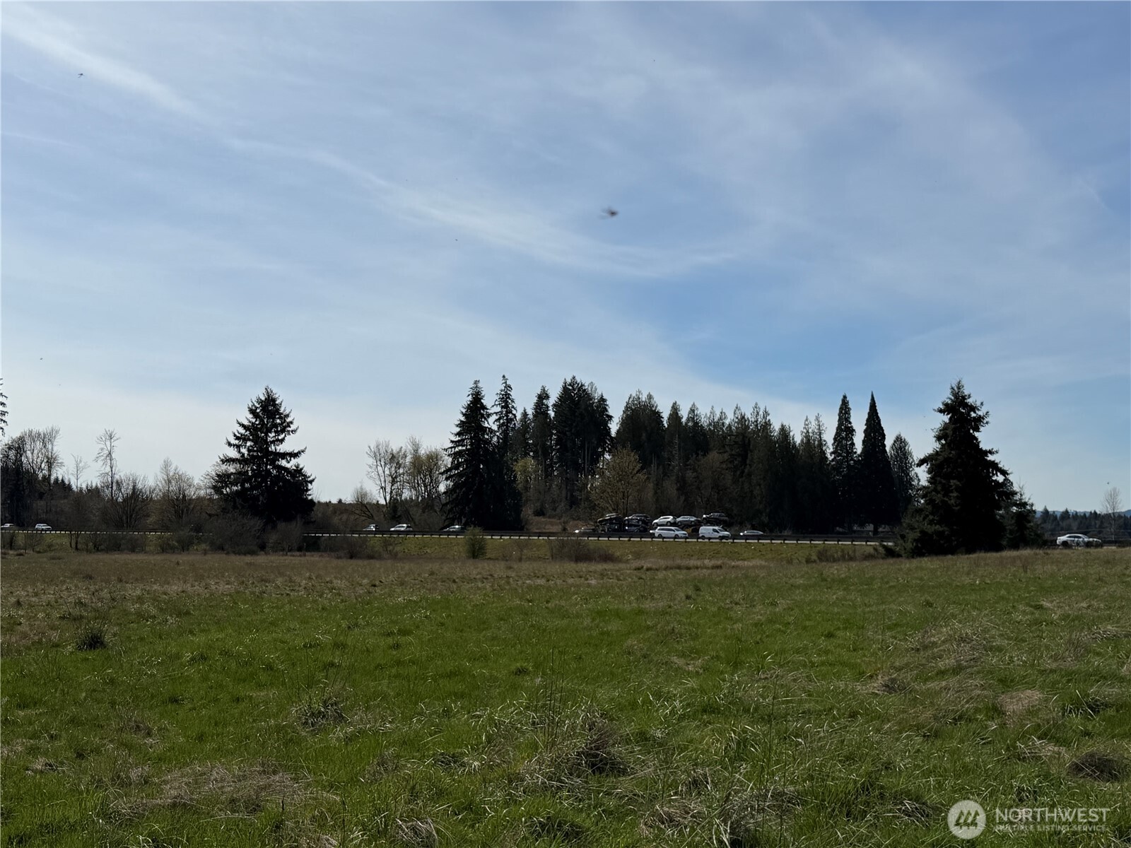MLS #NWM2500197 image #29
