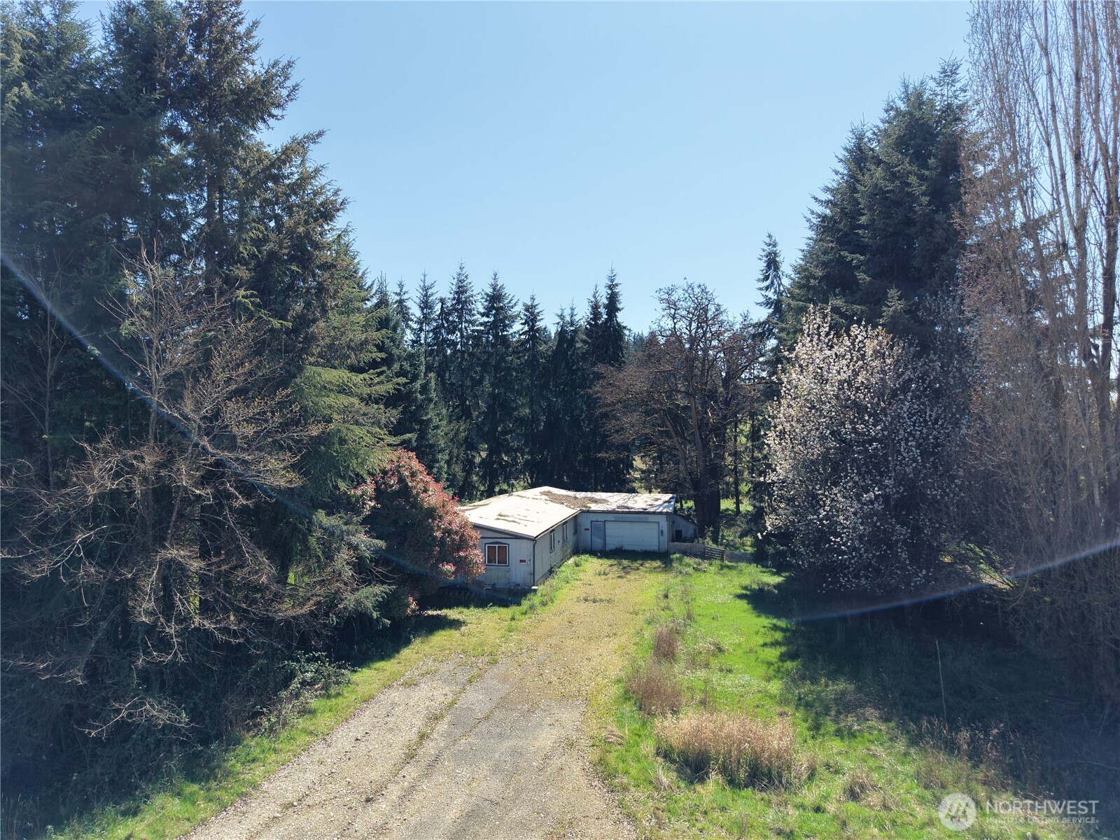 MLS #NWM2500197 image #4