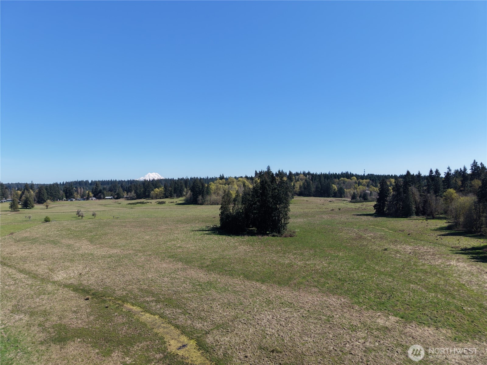MLS #NWM2500197 image #5