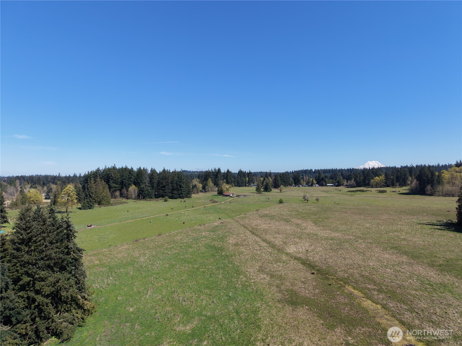 MLS #NWM2500197 image #6