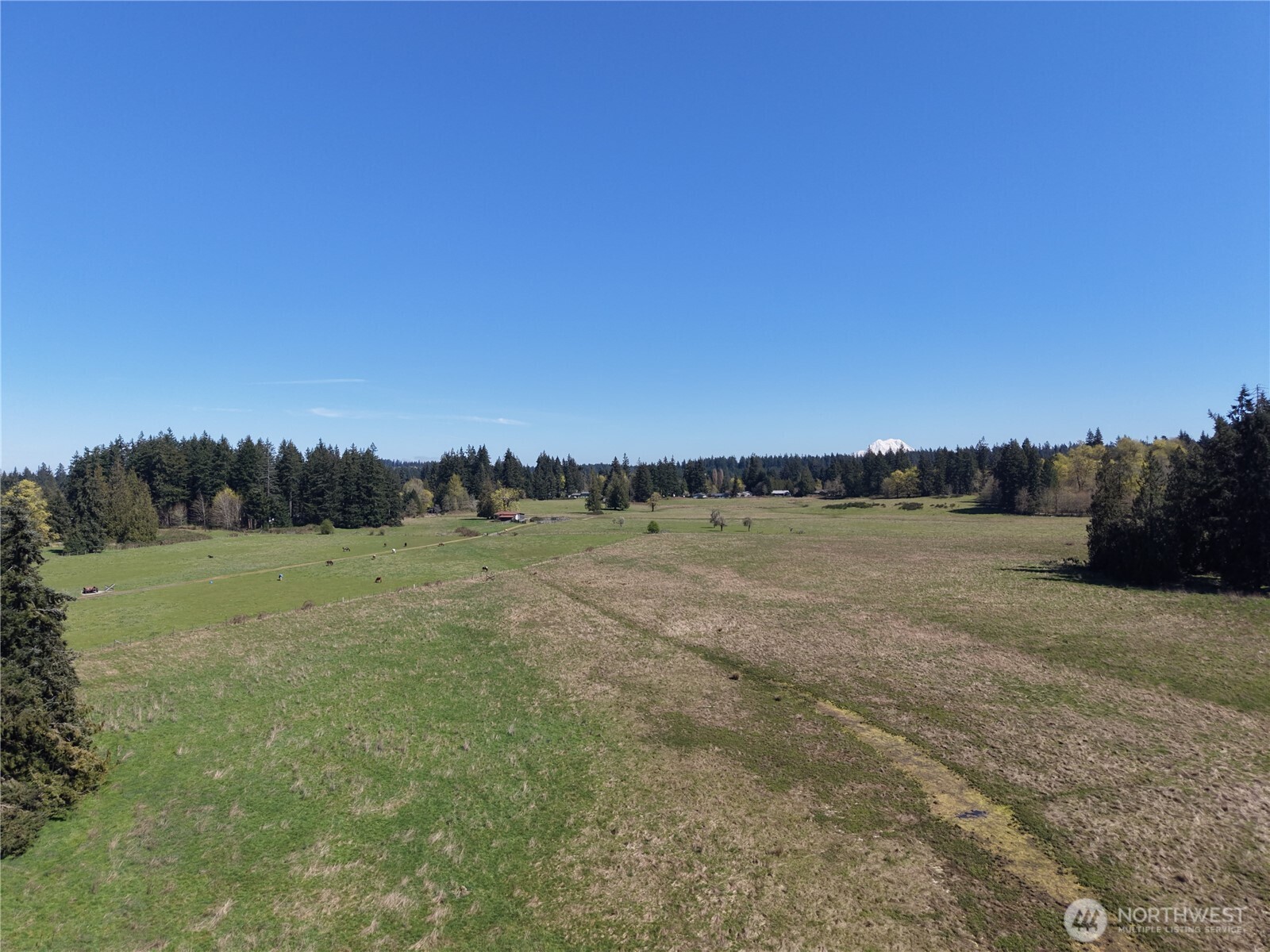 MLS #NWM2500197 image #7