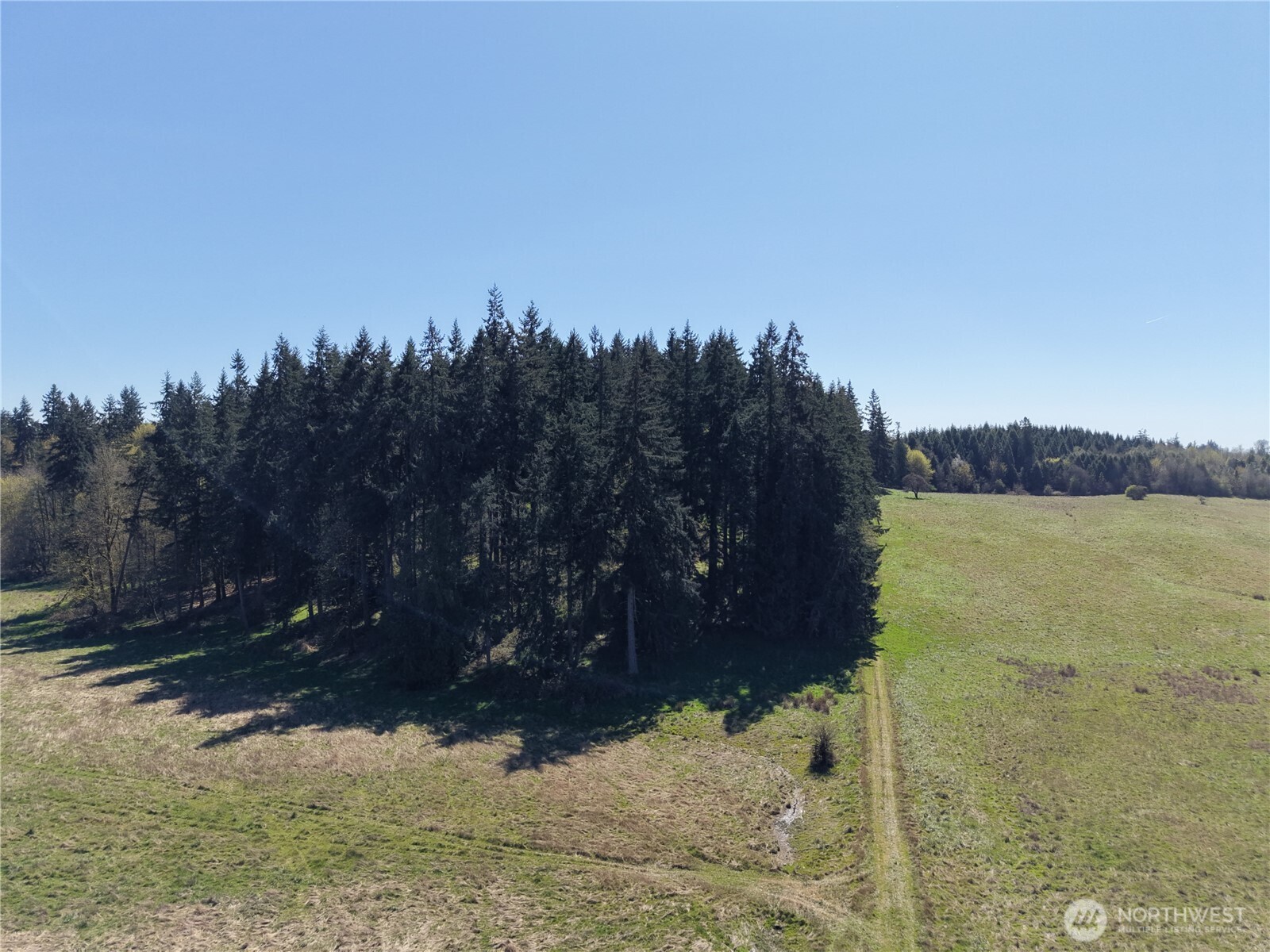MLS #NWM2500197 image #8