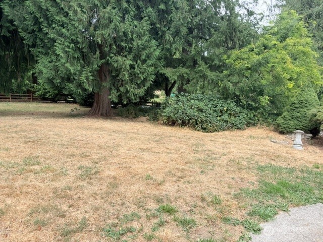 MLS #NWM2521268 image #4