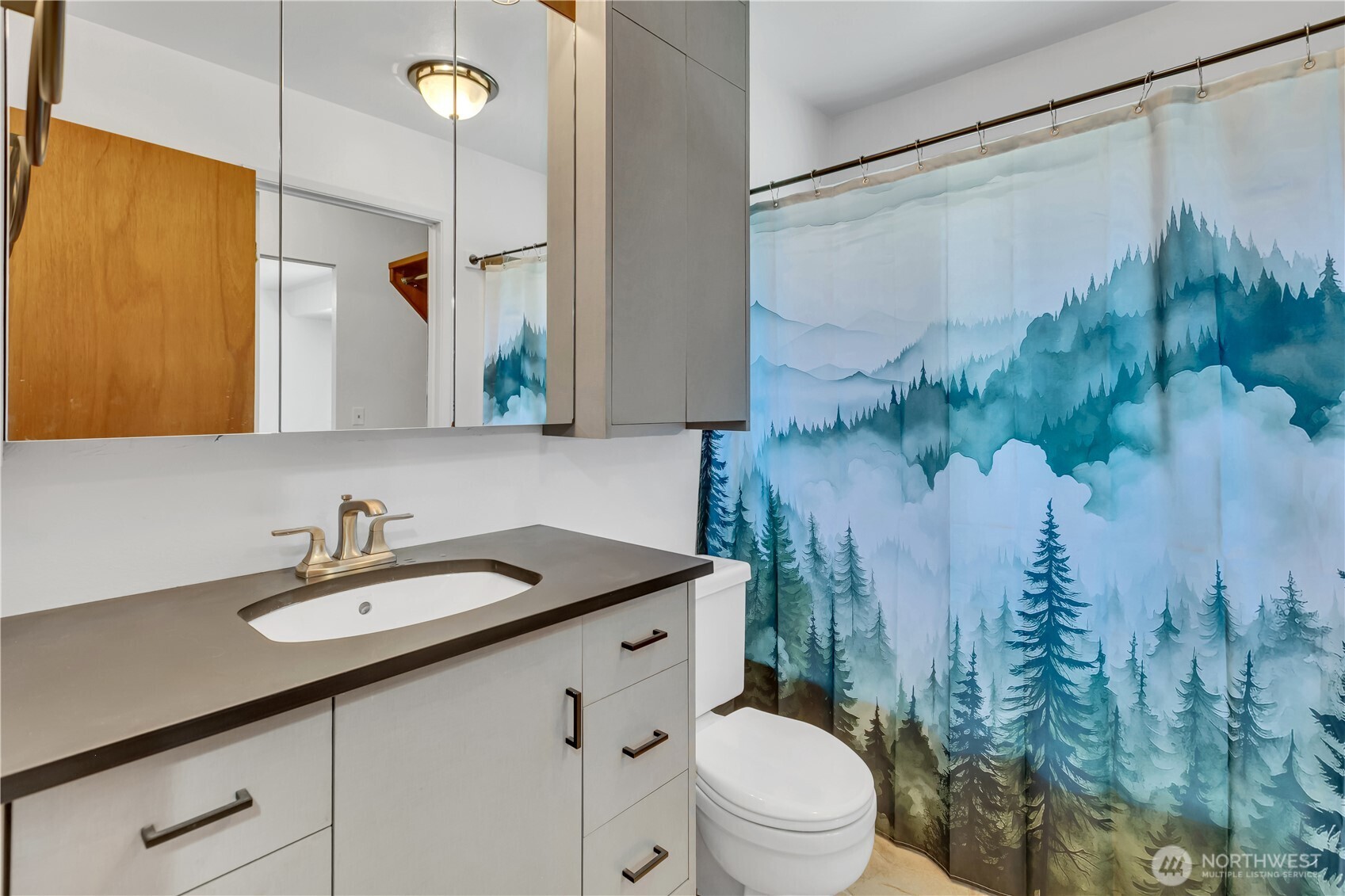 MLS #NWM2525566 image #13