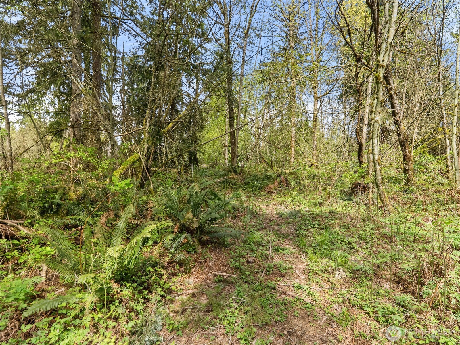 MLS #NWM2529212 image #15