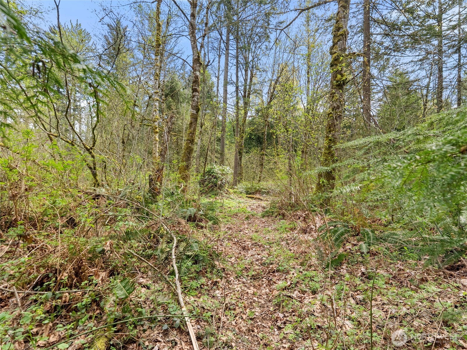 MLS #NWM2529212 image #19