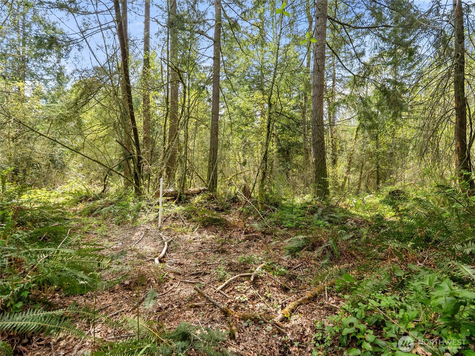 MLS #NWM2529212 image #2