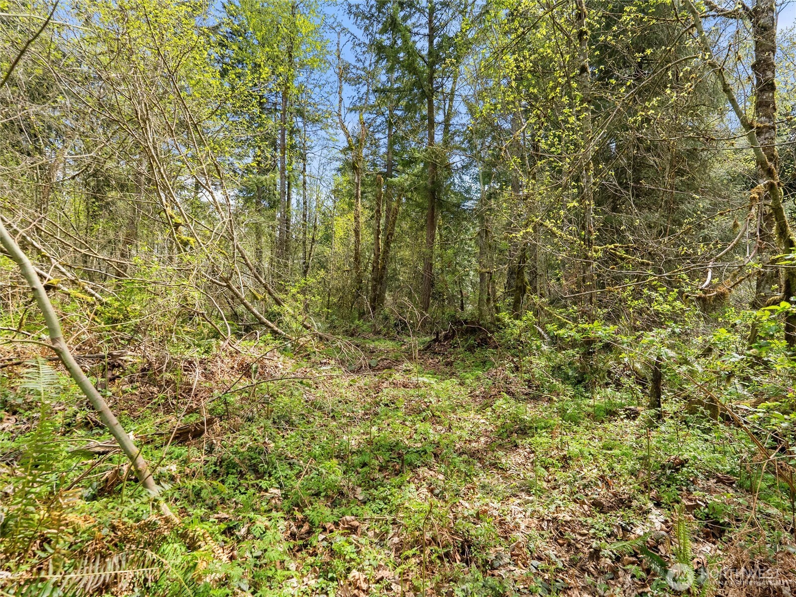 MLS #NWM2529212 image #20