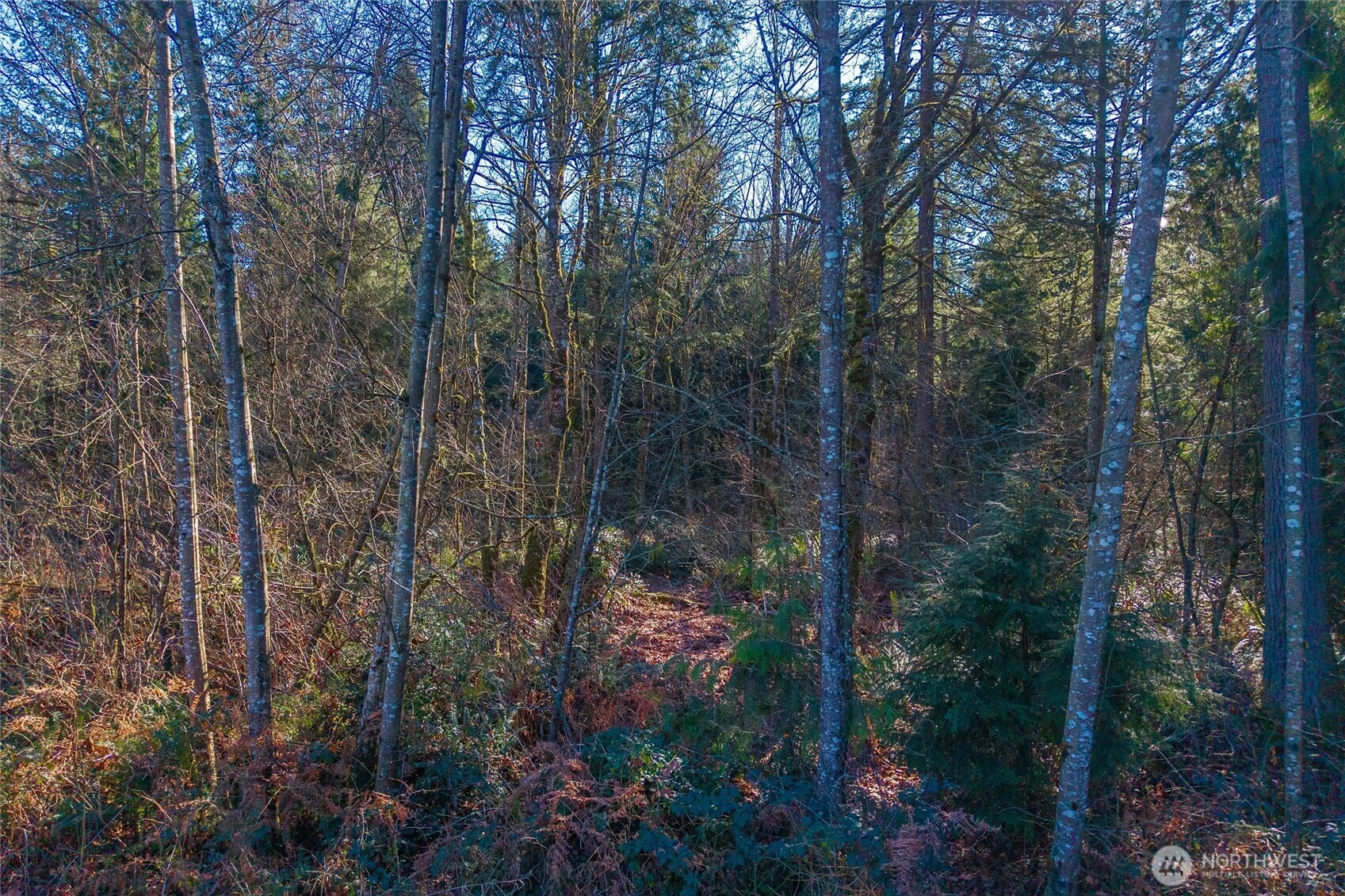 MLS #NWM2529212 image #21