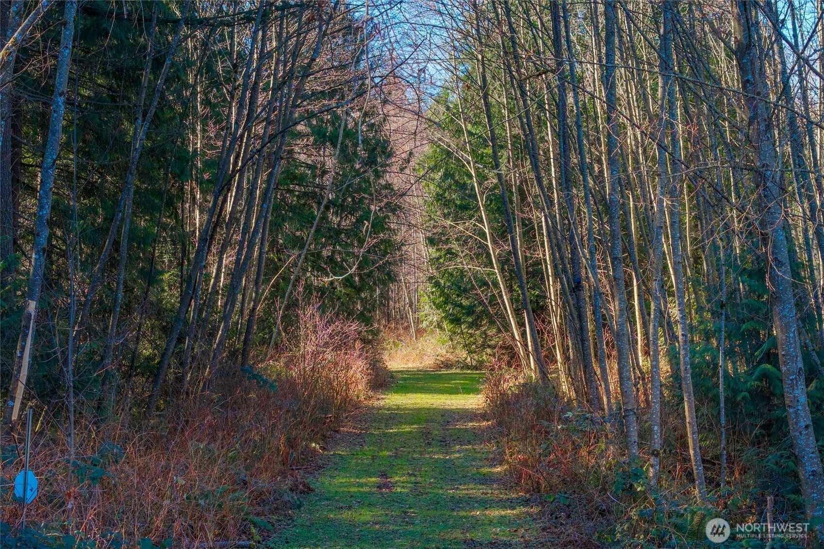 MLS #NWM2529212 image #22