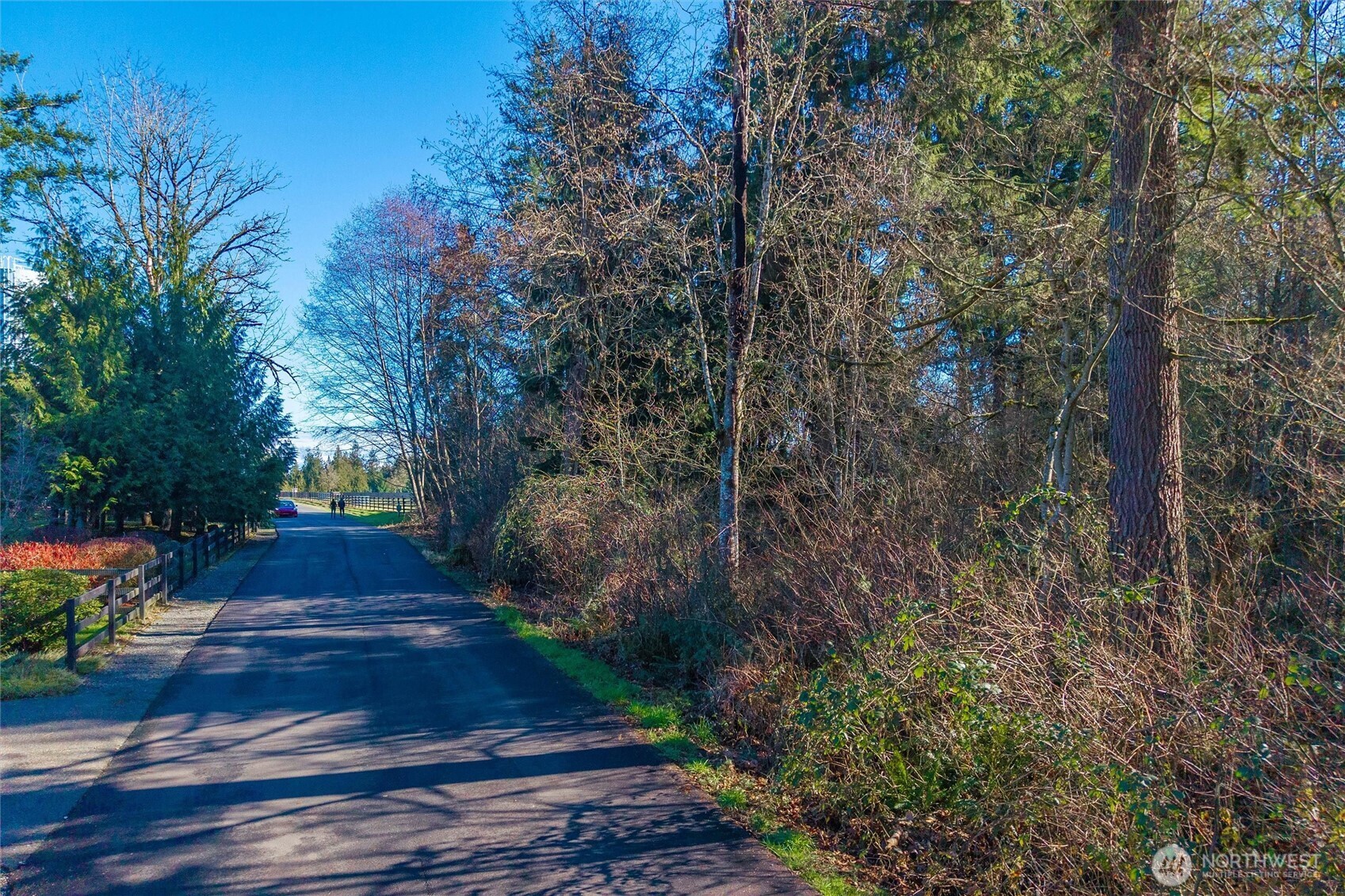 MLS #NWM2529212 image #4