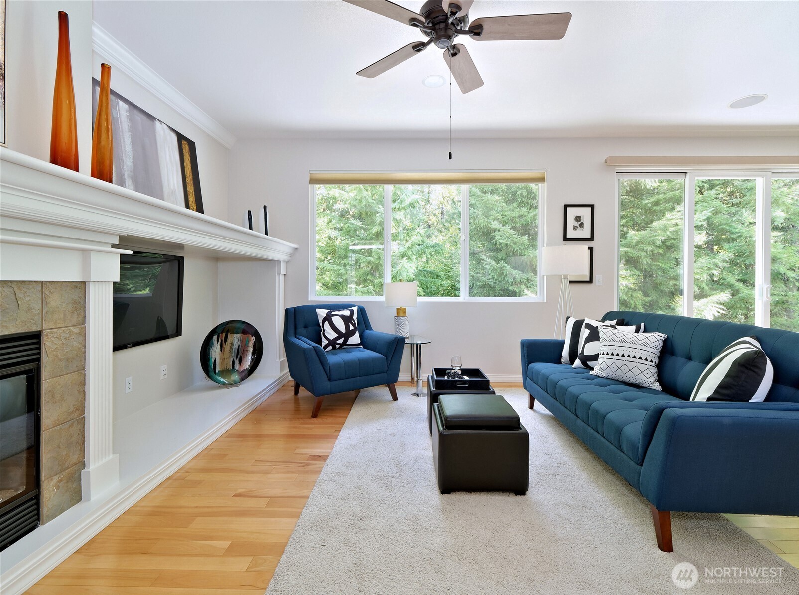 MLS #NWM2533312 image #1