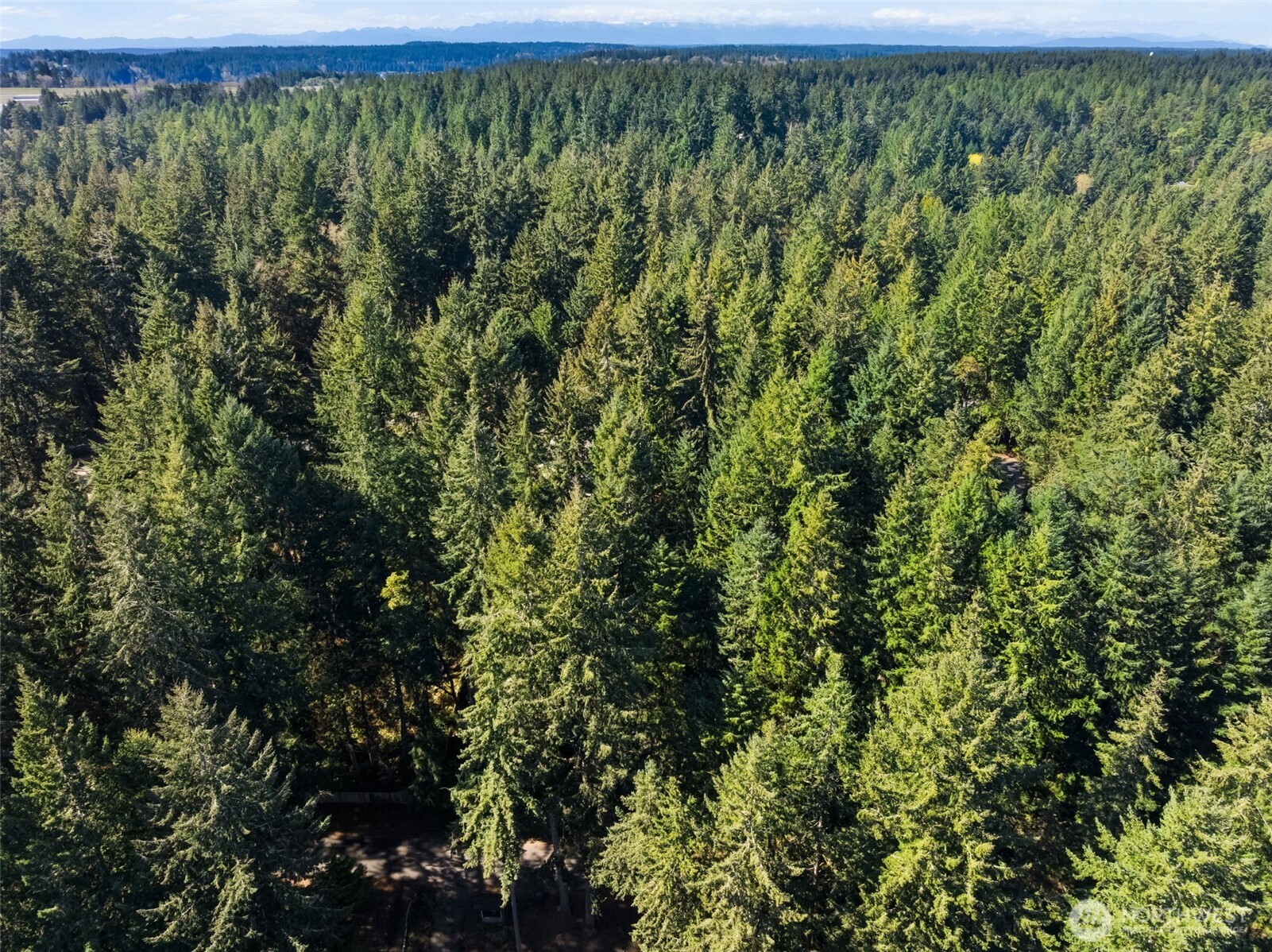 MLS #NWM2538504 image #11