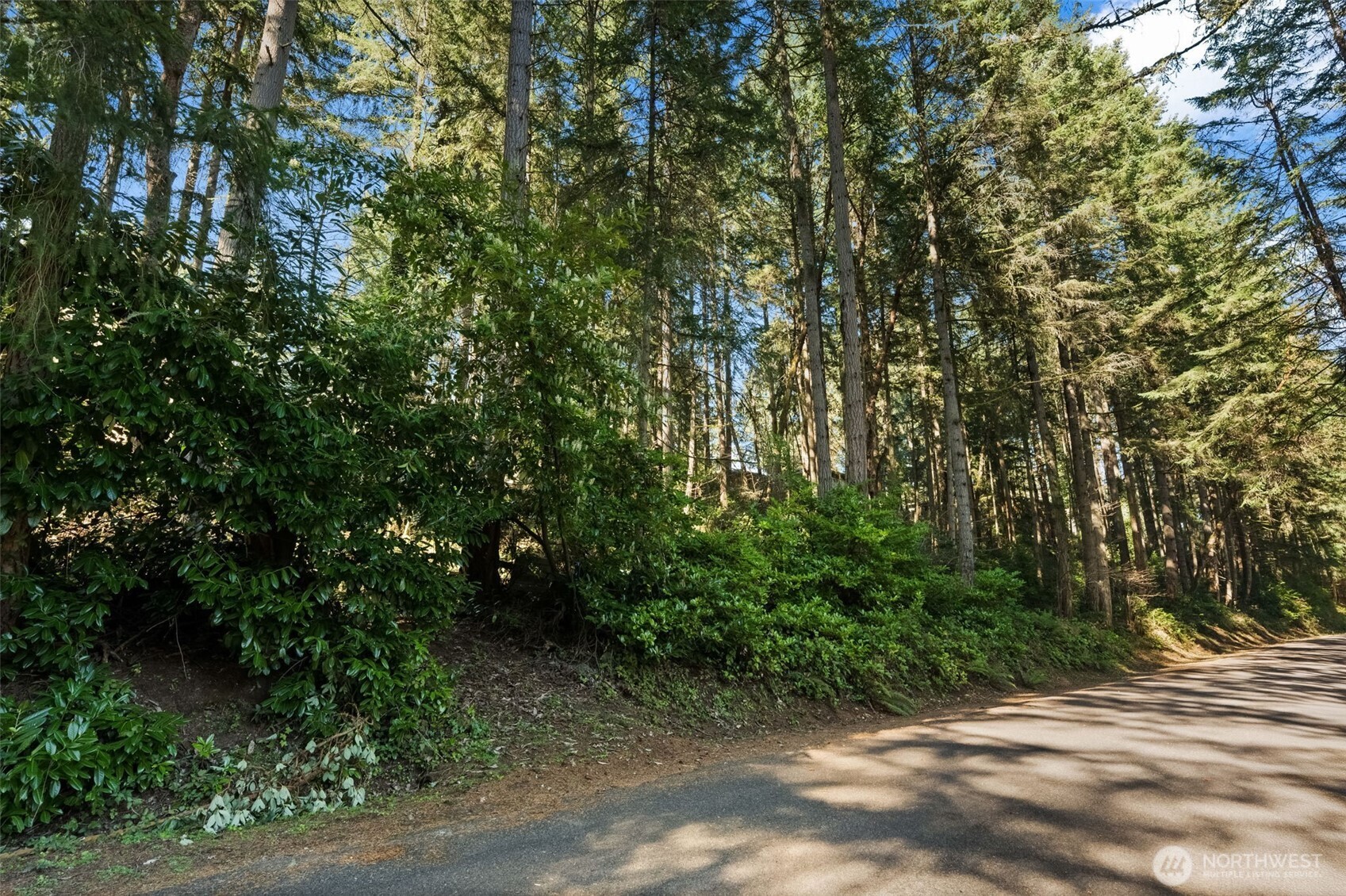 MLS #NWM2538504 image #3